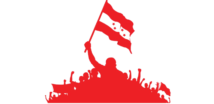 Nepali Congress Flag